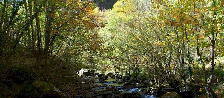 blog asturias otono