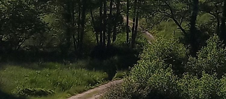 Ruta de los colores del Valle oscuro