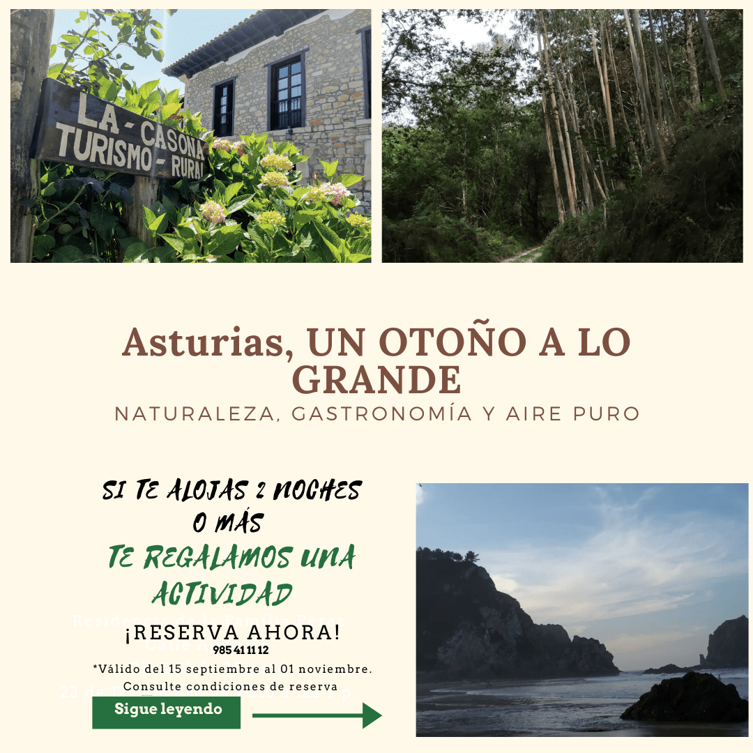otono llanes